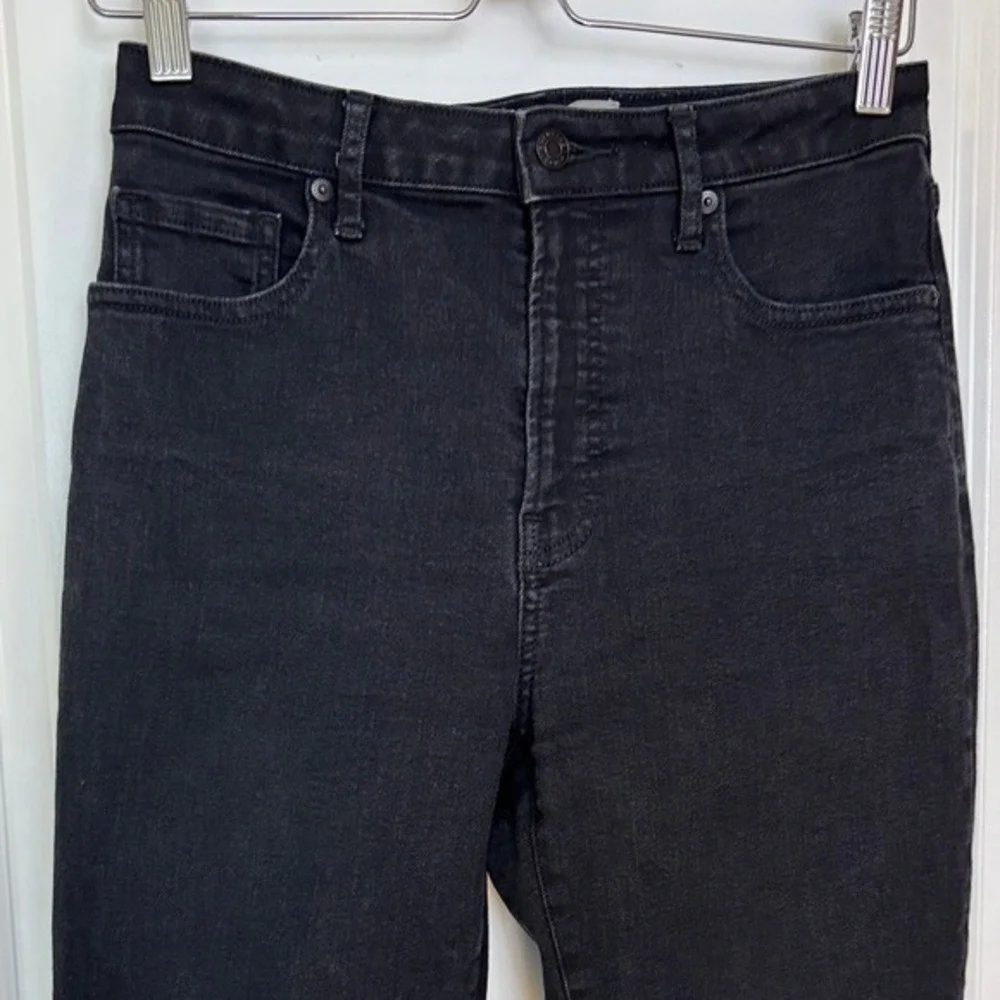 Everlane curvy high